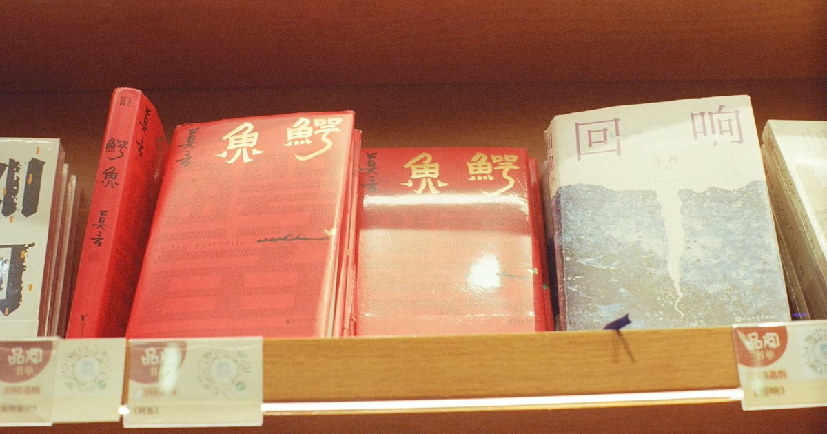 Chinese novels on a bookstore shelf, including 莫言’s 《鳄鱼》 and 《回响》.
